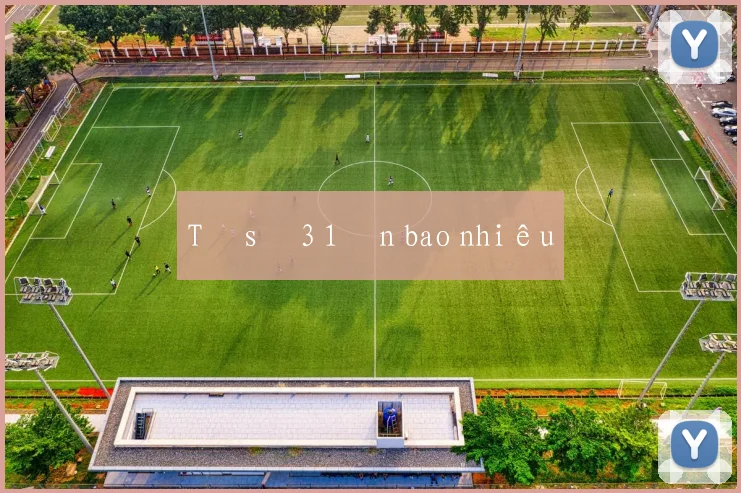 Tỉ số 3 1 ăn bao nhiêu