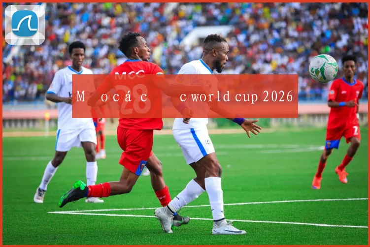Mẹo cá cược world cup 2026
