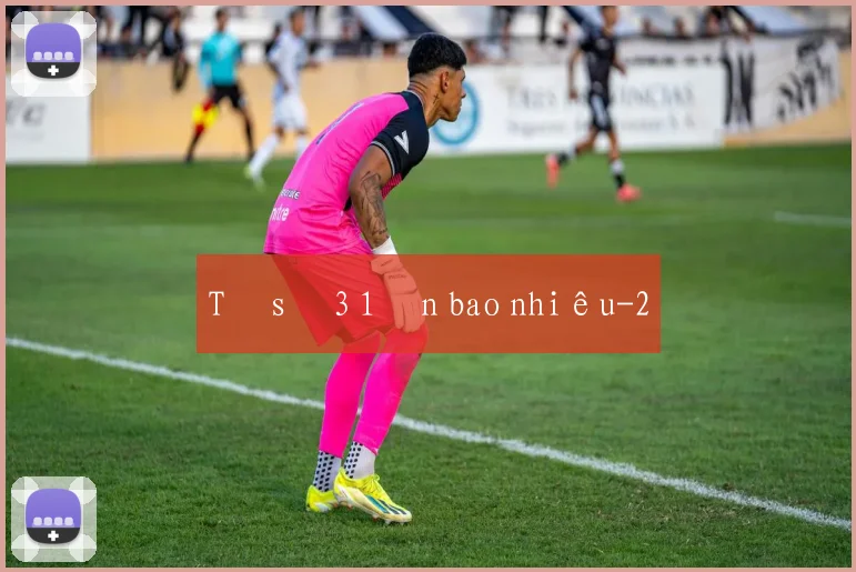 Tỉ số 3 1 ăn bao nhiêu