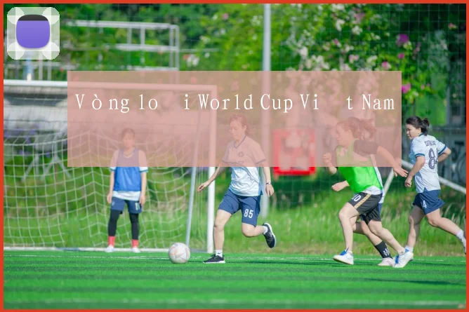 Vòng loại World Cup Việt Nam